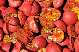 Areca Nut